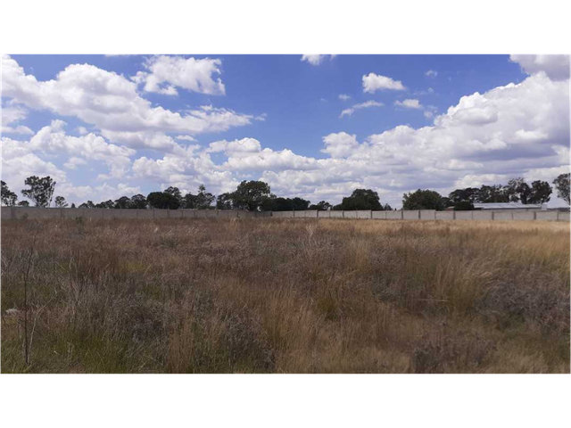 place photo 6