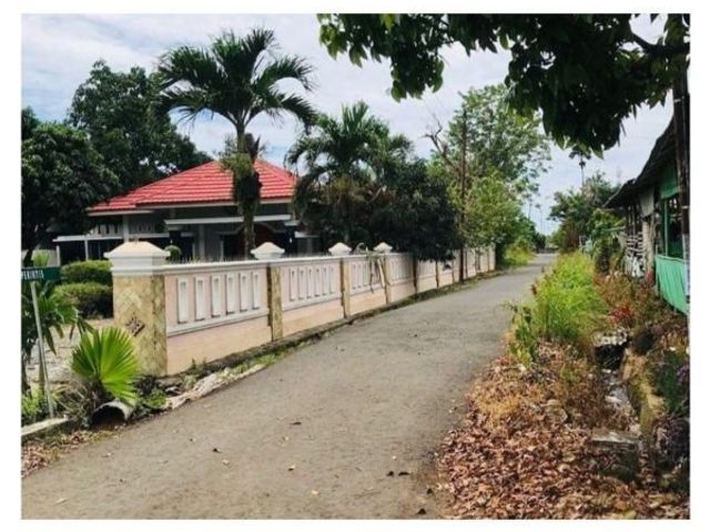 place photo 1