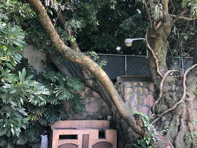 place photo 23