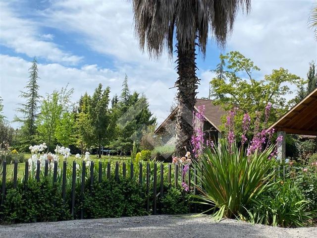 place photo 22