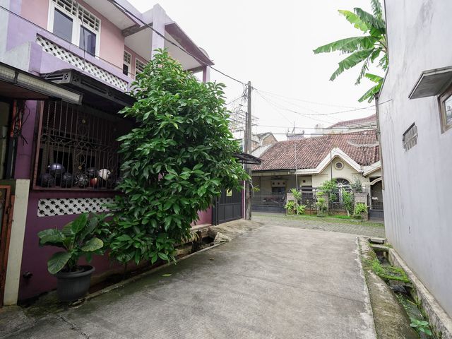place photo 26