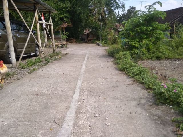 place photo 6