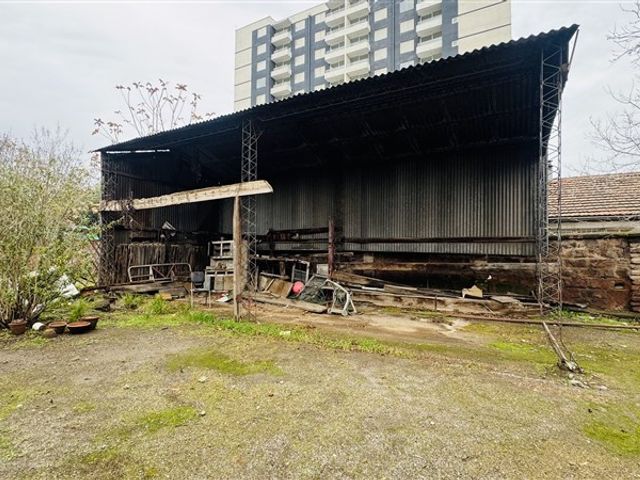 place photo 10