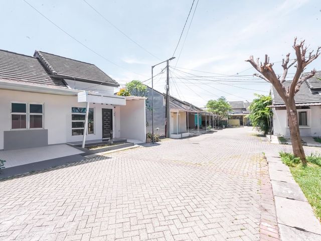 place photo 20
