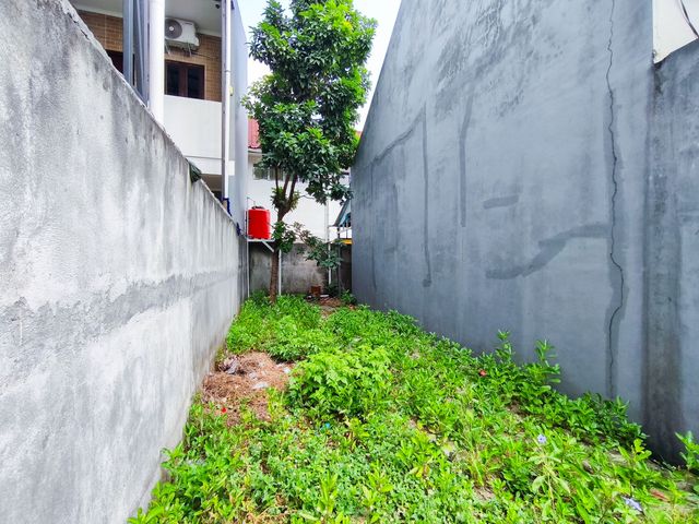 place photo 27