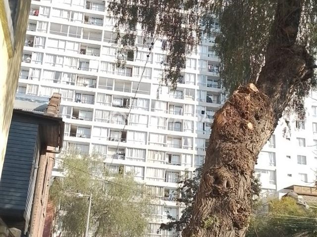place photo 37