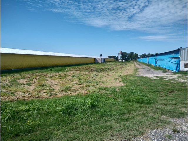 place photo 36