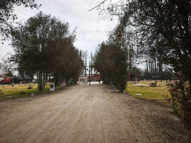 place photo 13