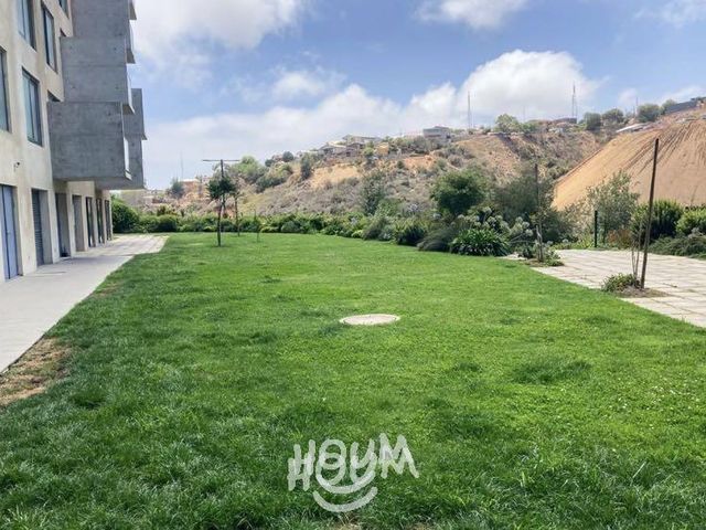 place photo 39