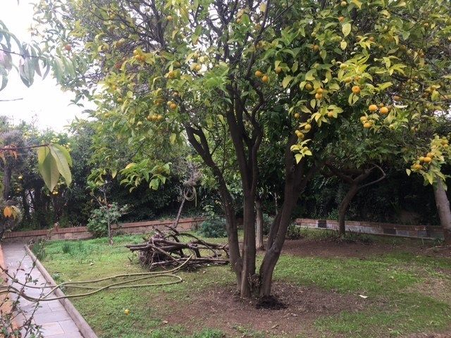 place photo 38