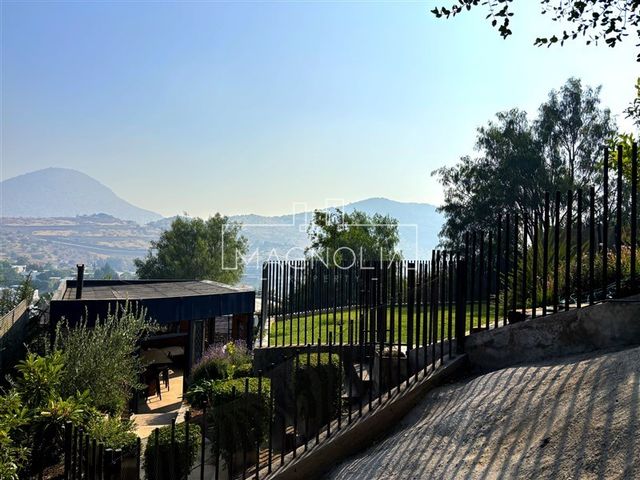place photo 40