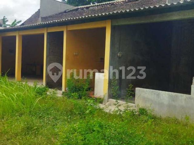 place photo 18