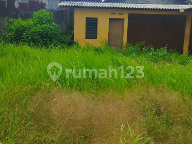 place photo 19