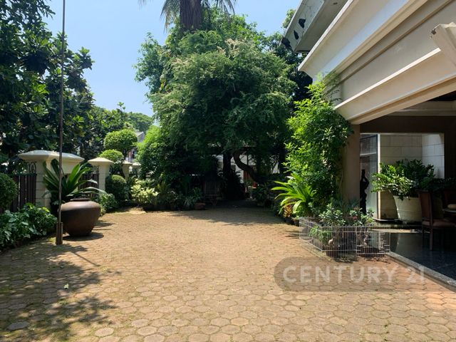 place photo 27