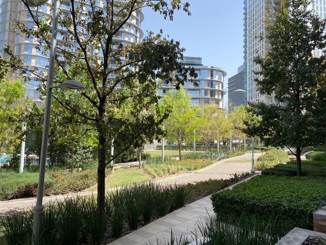 place photo 38