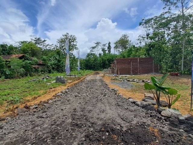place photo 4