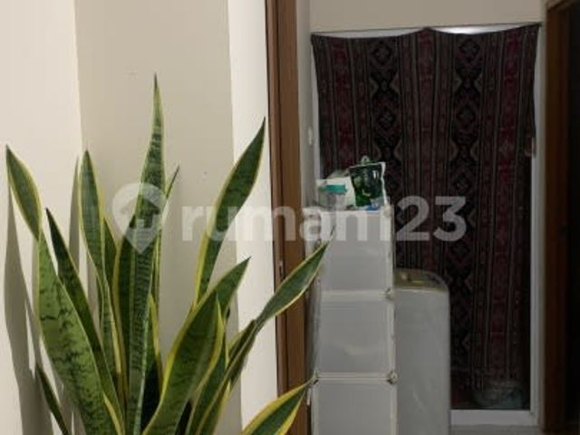 place photo 21