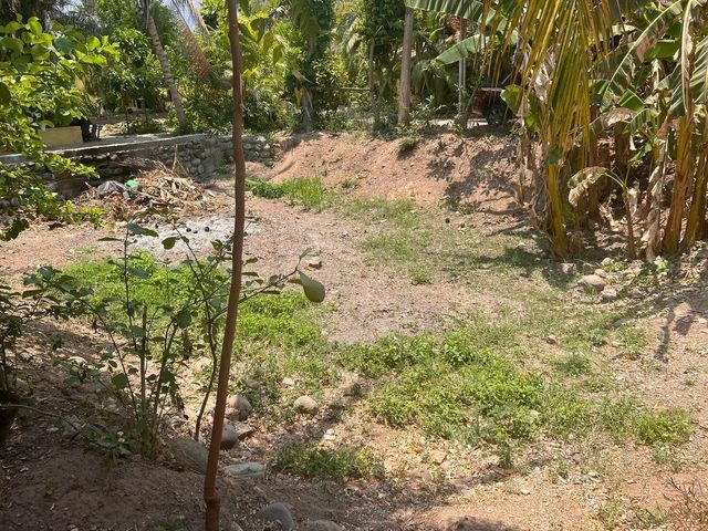 place photo 14