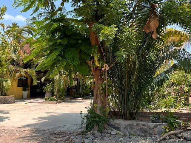place photo 18