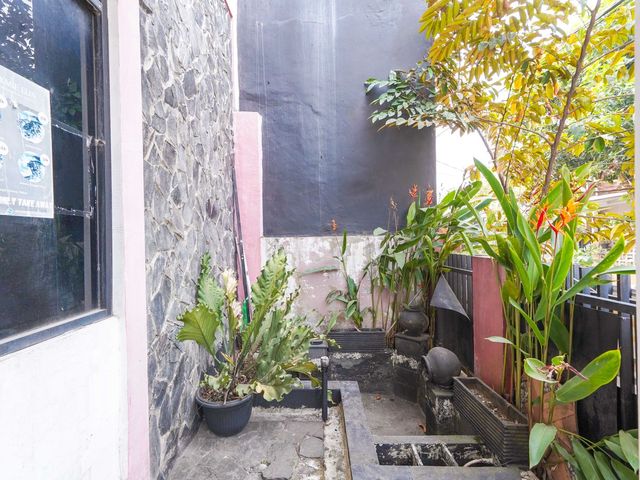 place photo 39