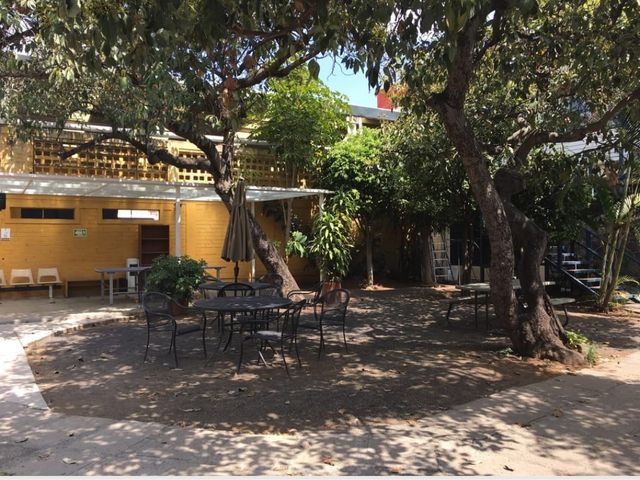 place photo 15
