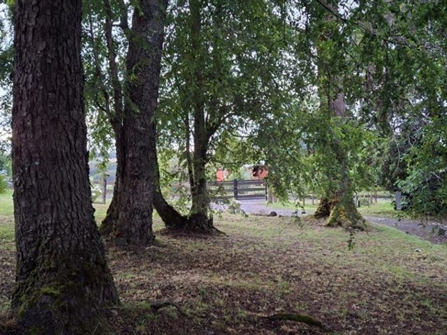 place photo 37