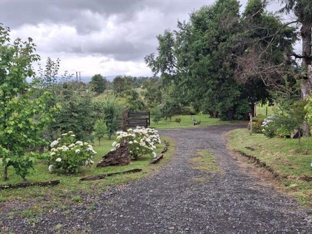 place photo 35