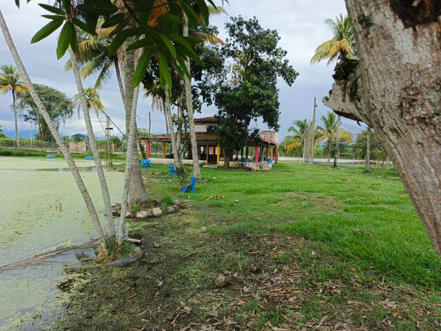 place photo 22