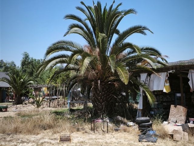 place photo 28