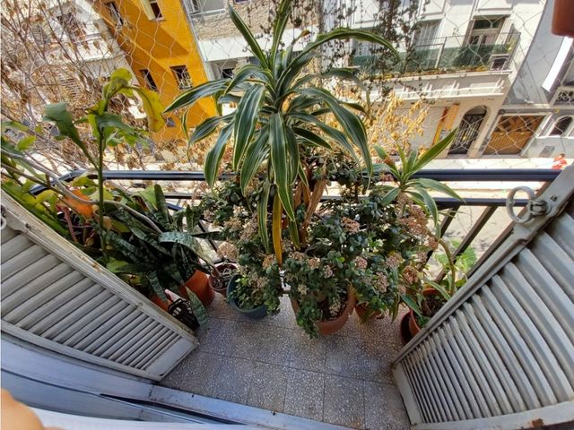 place photo 41