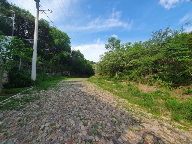place photo 39