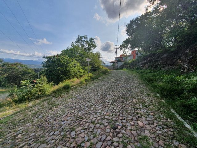 place photo 36