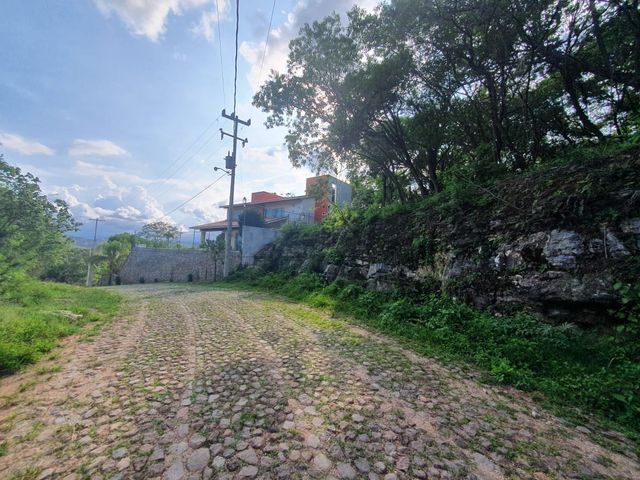 place photo 50