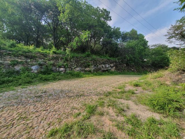 place photo 44