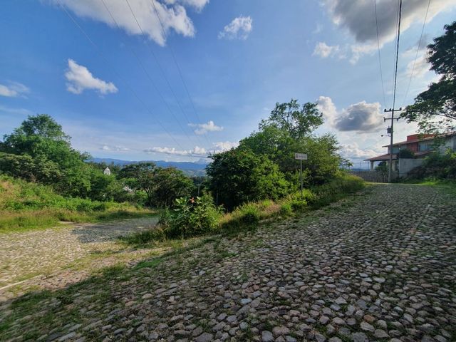 place photo 31