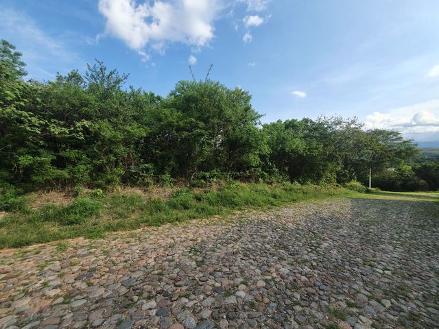 place photo 33
