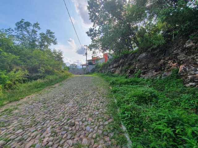 place photo 43