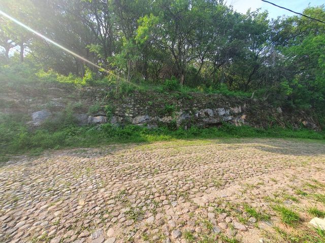 place photo 38