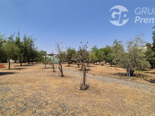 place photo 45