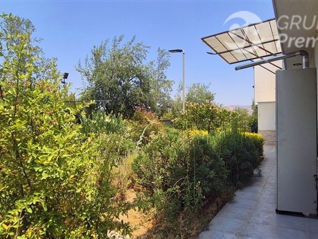 place photo 44
