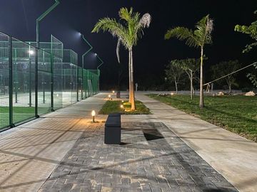 place photo 11