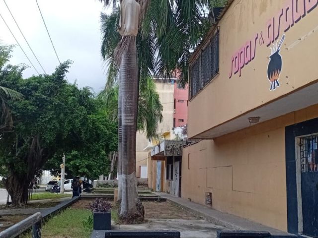 place photo 9