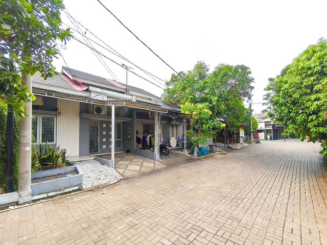 place photo 23
