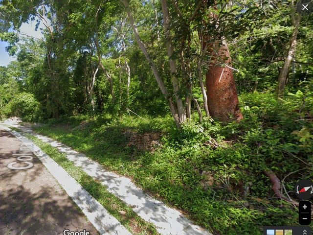 place photo 3