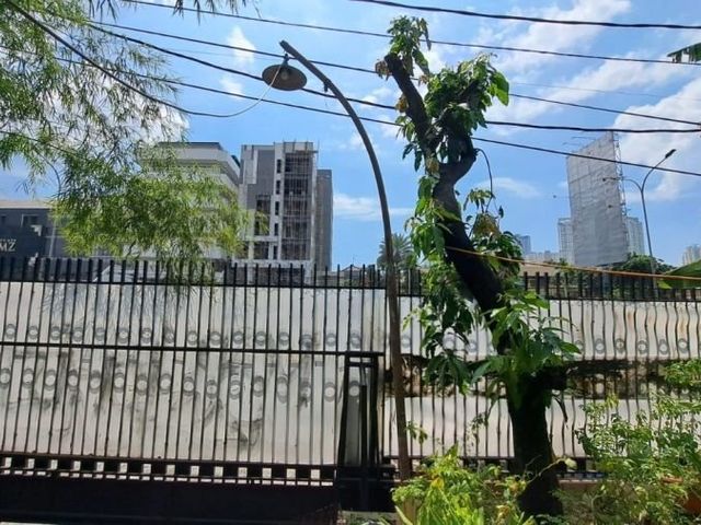 place photo 9