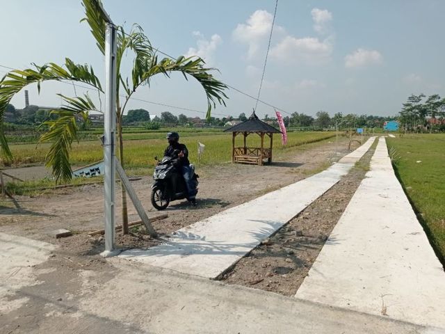 place photo 3