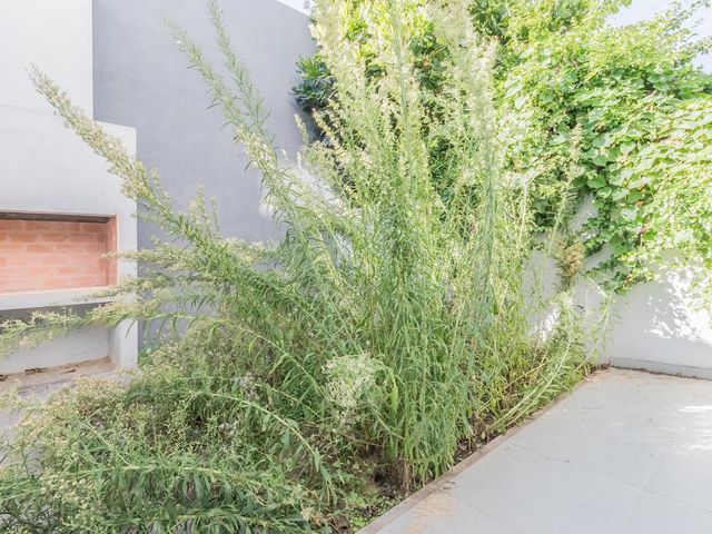 place photo 47