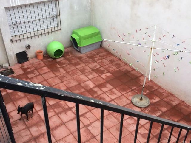 place photo 17