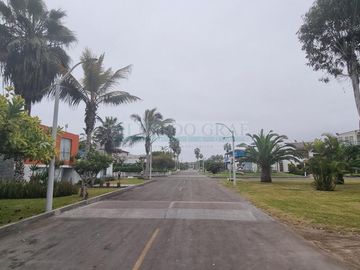 place photo 15