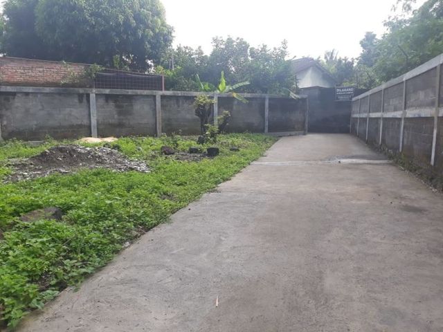 place photo 4